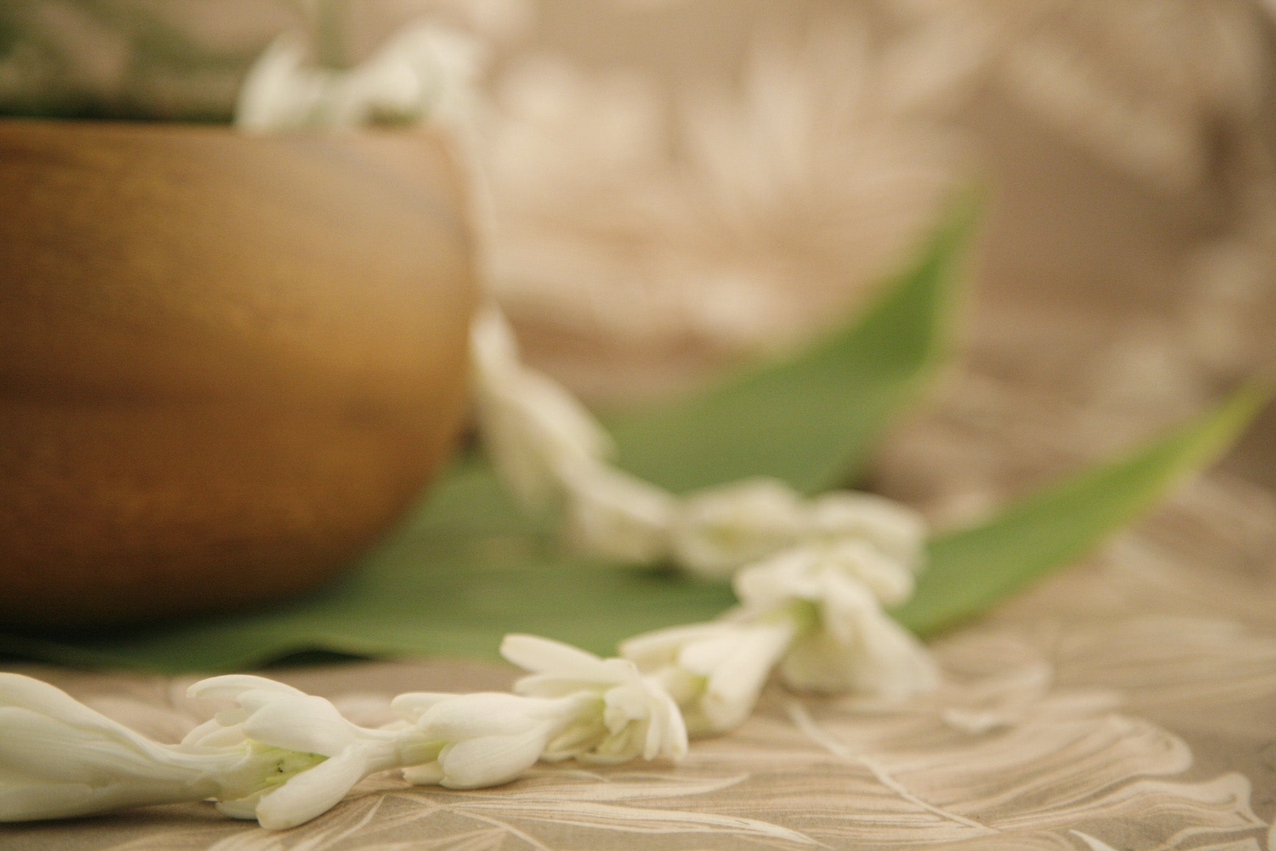 Tuberose (Limited Stock)