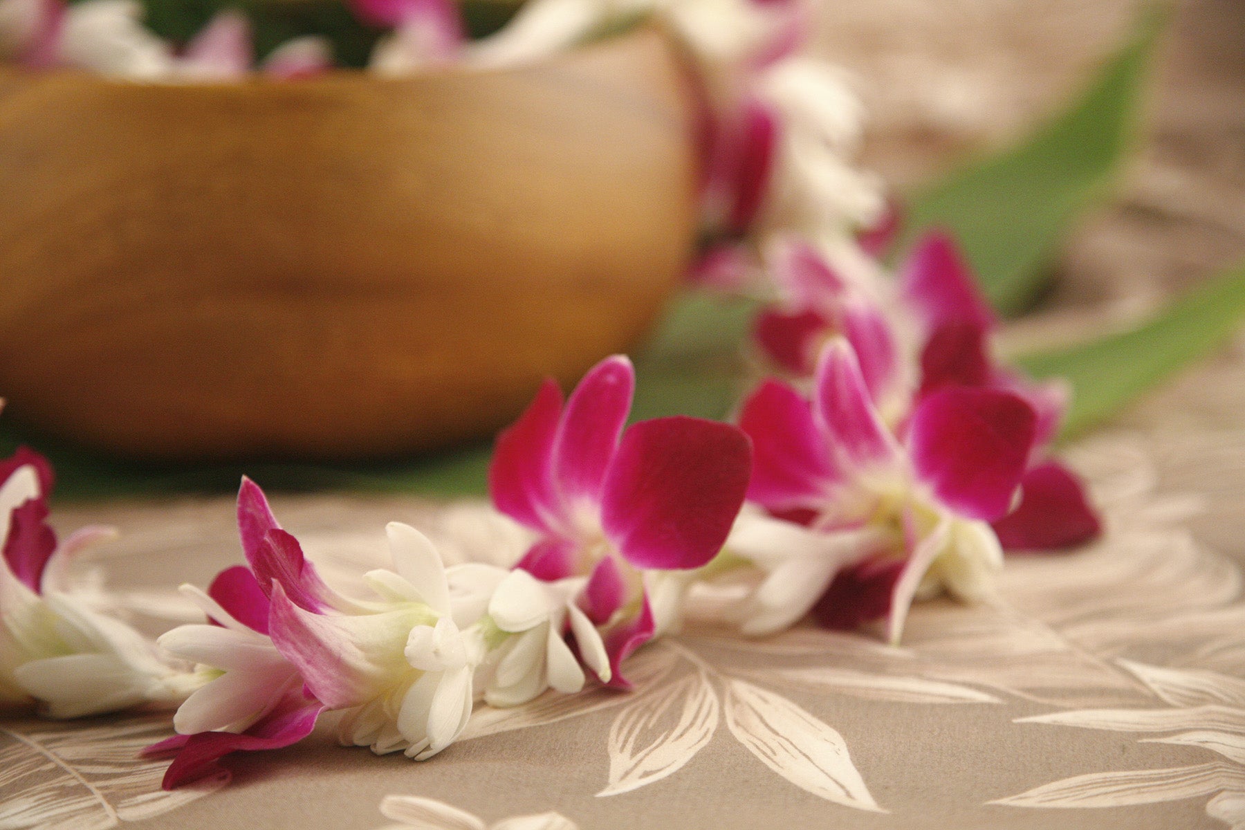 Tuberose Dendro (Limited Stock)