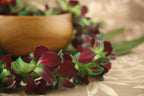 Tinted Orchid Lei Green (Limited Stock)
