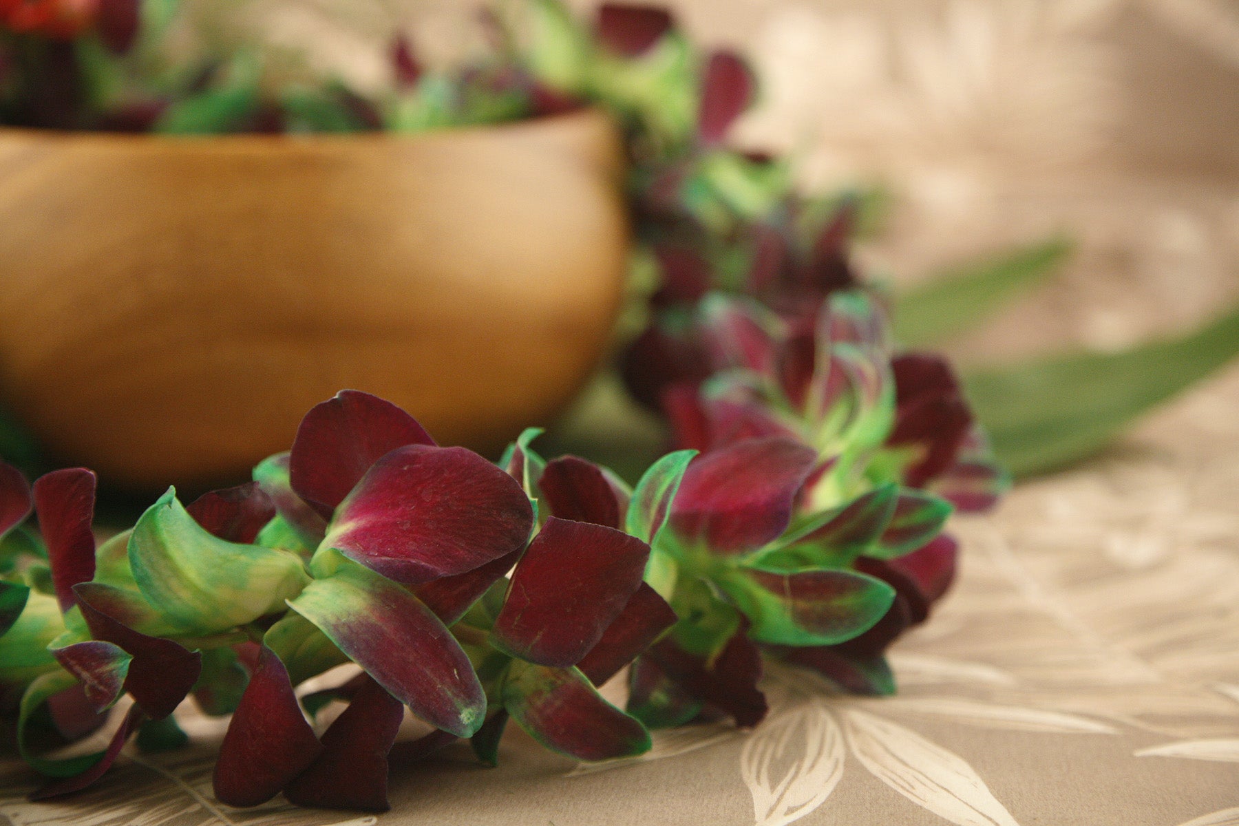 Tinted Orchid Lei Green (Limited Stock)