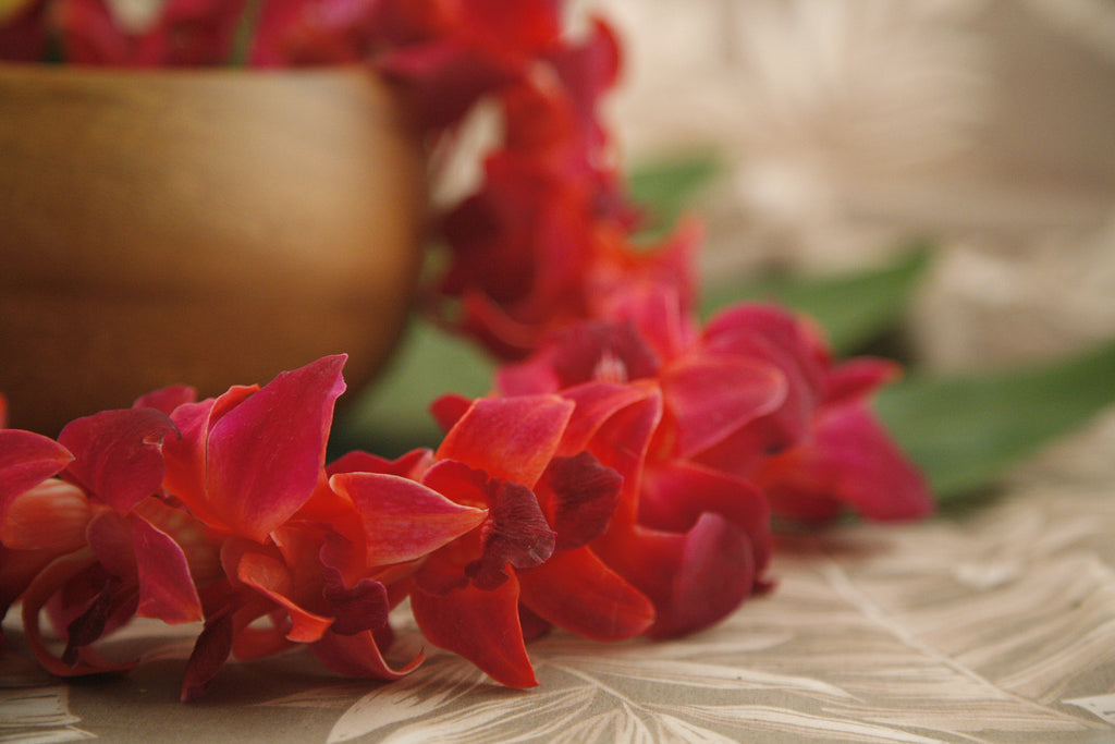 Tinted Orchid Lei Red (Limited Stock)