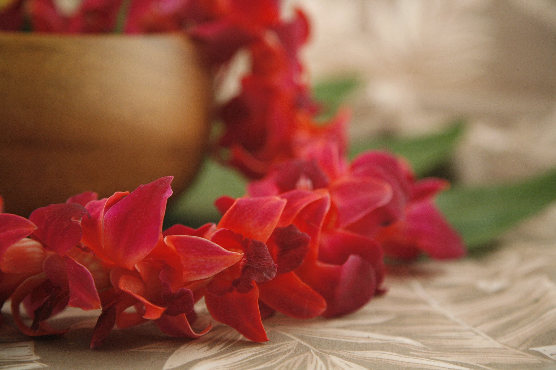 Tinted Orchid Lei Red (Limited Stock)