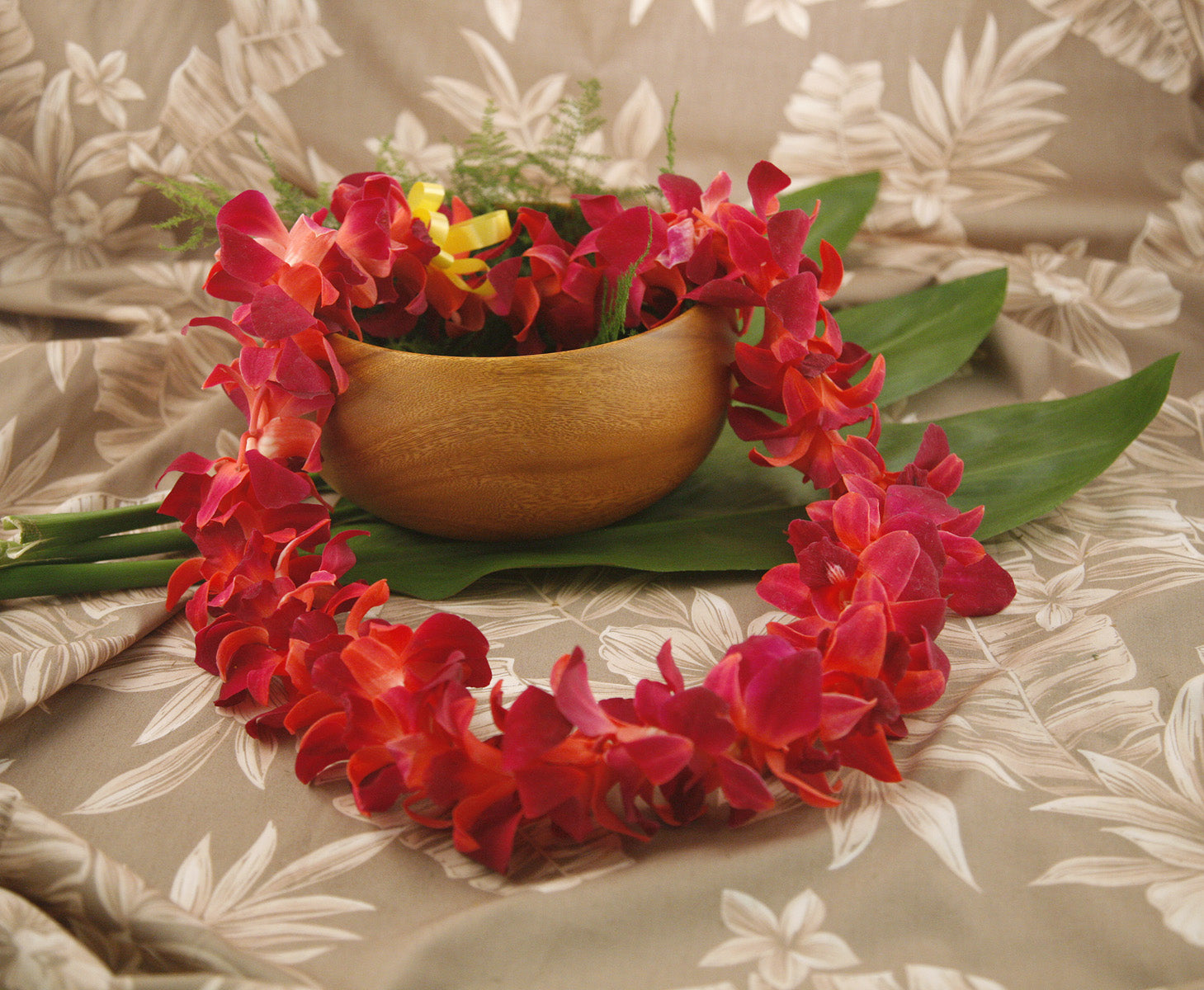 Tinted Orchid Lei Red (Limited Stock)