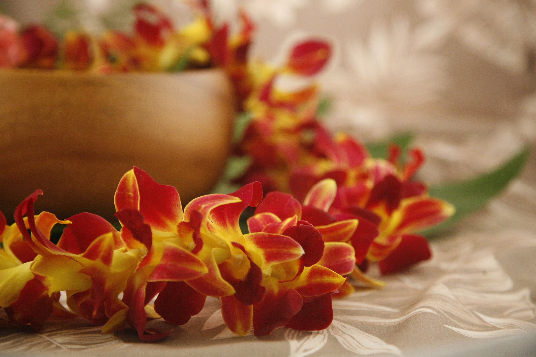 Tinted Orchid Lei Yellow (Limited Stock)