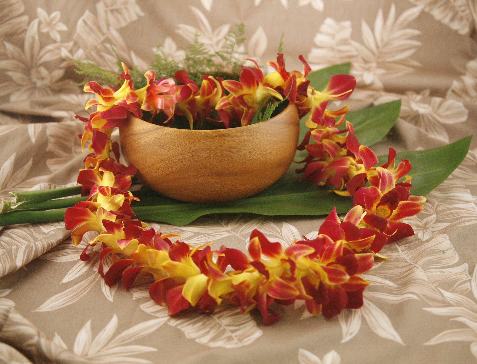 Tinted Orchid Lei Yellow (Limited Stock)