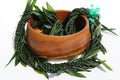 10-Strand Ti Leaf Twine