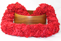 Double Carnation