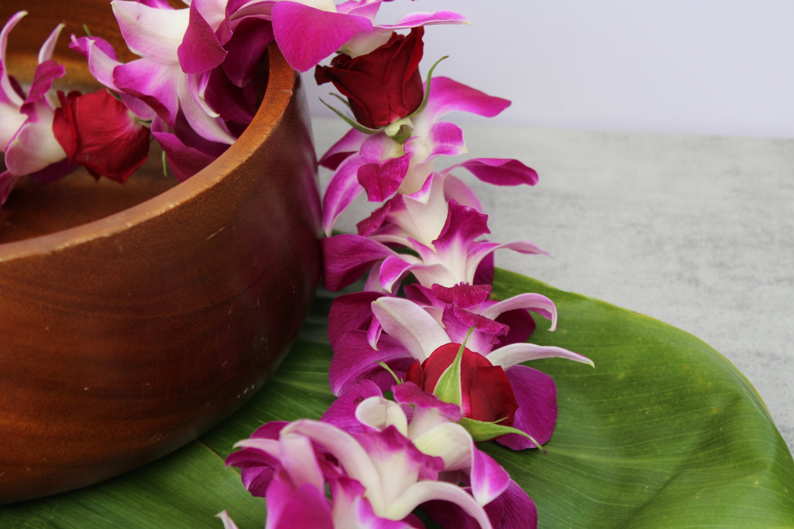 Single Orchid with Baby Rose Lei