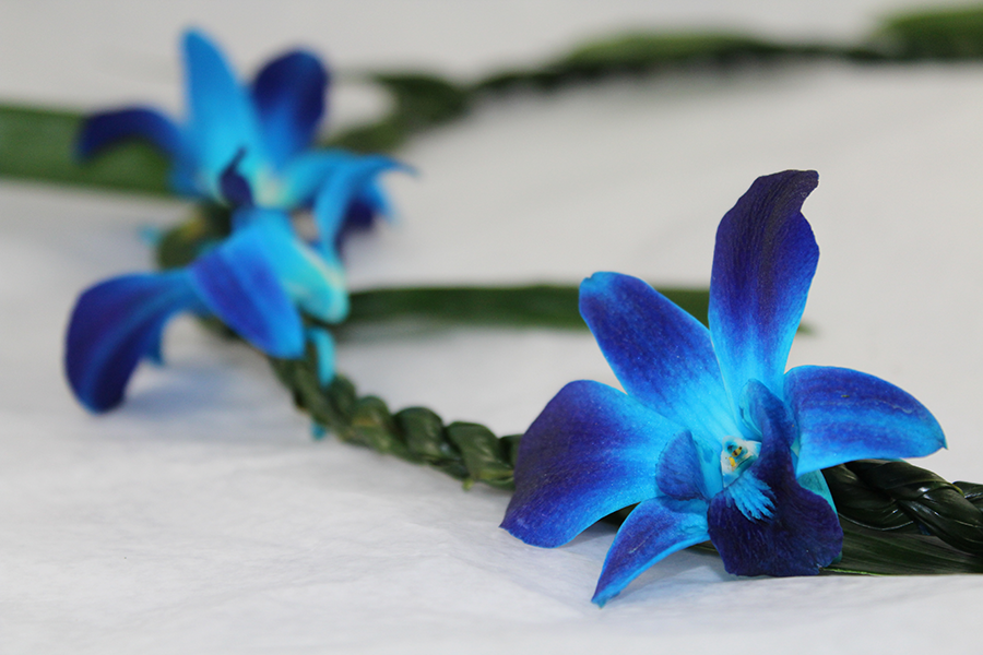 Ti Leaf with Orchid Blue