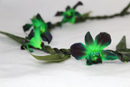 Ti Leaf with Orchid Green