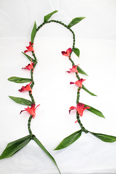 Ti Leaf with Orchid Red