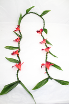 Ti Leaf with Orchid Red