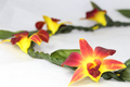 Ti Leaf with Orchid Yellow