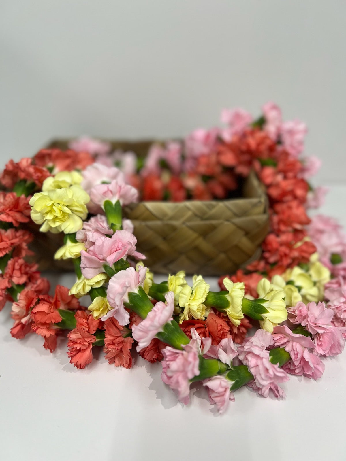 Single Carnation Lei